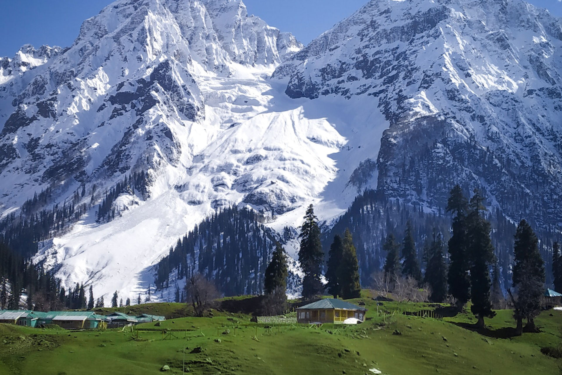 The Best Way to Explore Kashmir: Rent a Car